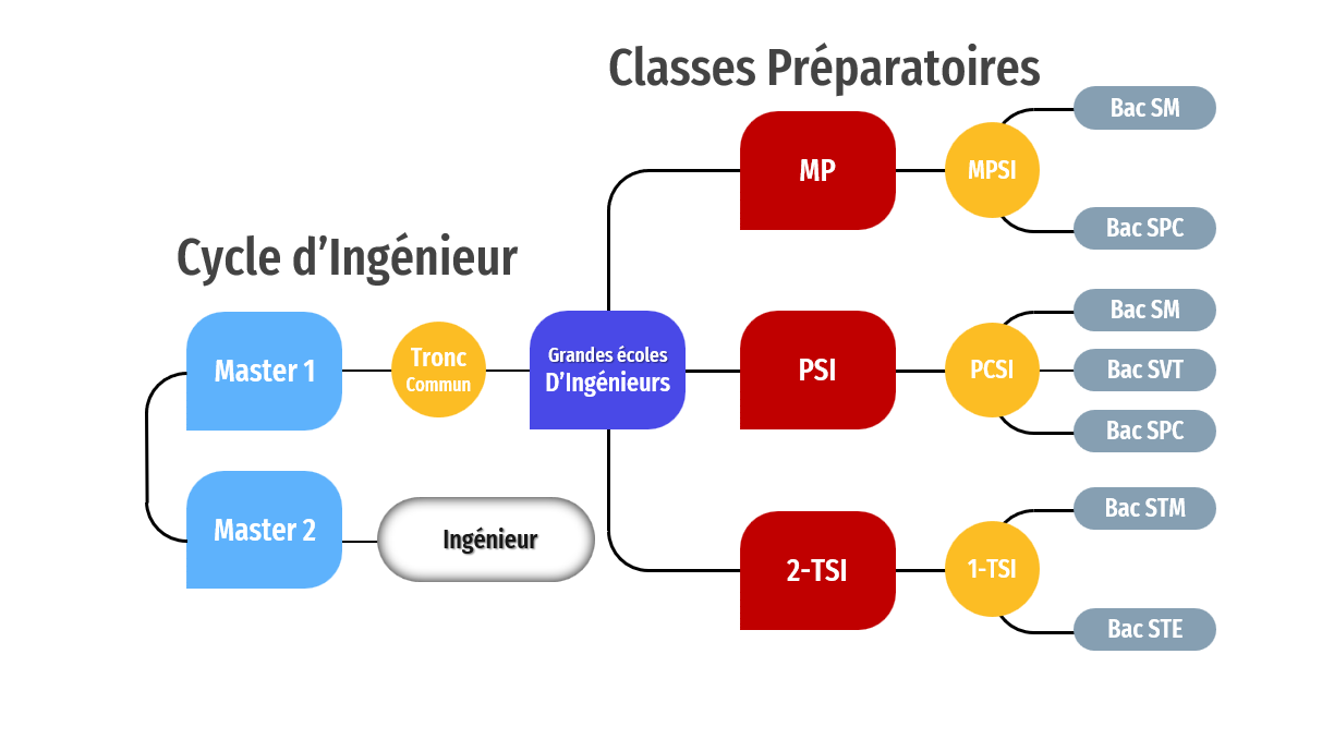 Organigrame Cycle d'Ingénieur